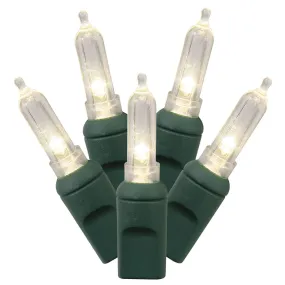 50Lt Warm White LED / Green Wire Italian EC 6"x25'L