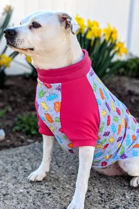 Gummy Bear Raglan Dog Pajamas